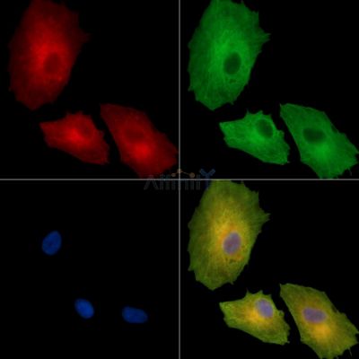 Валидация Affinity DF14304 - 10190