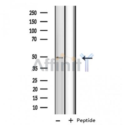 Валидация Affinity DF3588 - 14547