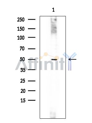 Валидация Affinity DF6501 - 17904