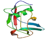 CD5 Antigen Like Protein (CD5L) CD5 Antigen Like Protein (CD5L)