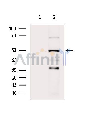 Валидация Affinity DF9193 - 21574