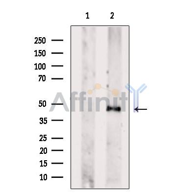 Валидация Affinity DF10069 - 5546