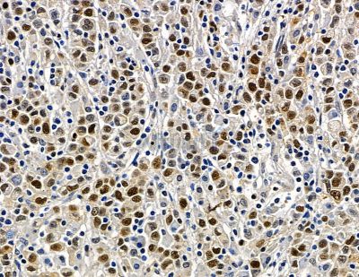 Валидация Affinity DF15783 - 12266