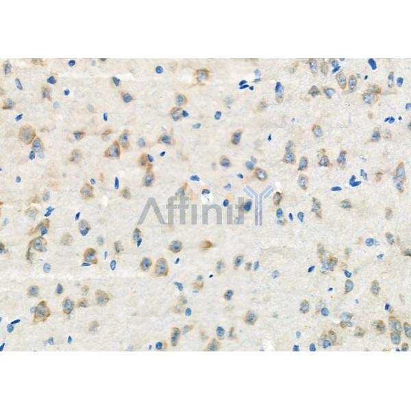 Валидация Affinity DF10145 - 5668