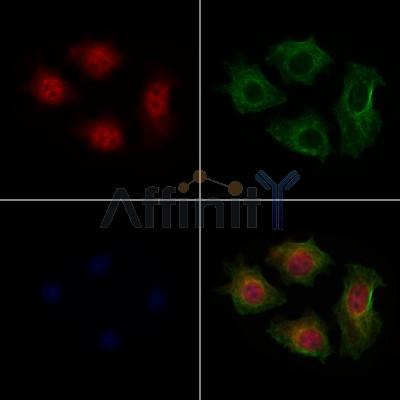 Валидация Affinity DF9898 - 22859