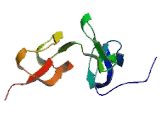 Tumor Necrosis Factor Receptor Superfamily, Member 10B (TNFRSF10B) Tumor Necrosis Factor Receptor Superfamily, Member 10B (TNFRSF10B)