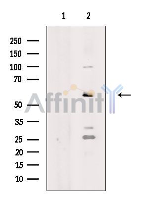 Валидация Affinity DF3755 - 14835