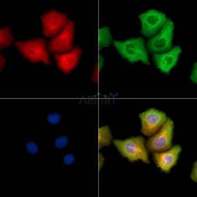 Валидация Affinity DF14337 - 10240