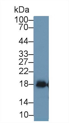 13374