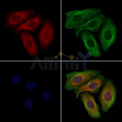 Валидация Affinity AF7593 - 4260