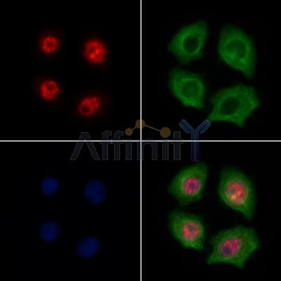 Валидация Affinity AF7721 - 4415