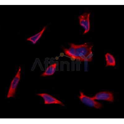 Валидация Affinity DF12466 - 7014