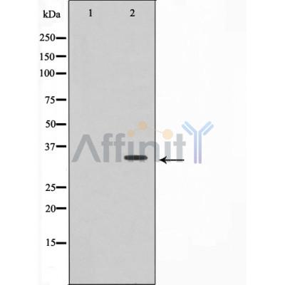 Валидация Affinity AF4002 - 2105