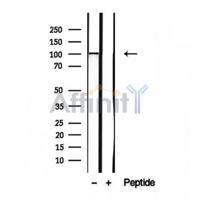 Валидация Affinity DF12420 - 6924
