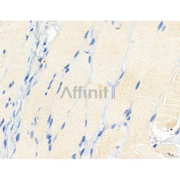 Валидация Affinity DF12124 - 6274