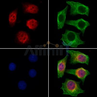 Валидация Affinity DF13351 - 8559