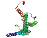 Adenosine A2b Receptor (ADORA2b) Adenosine A2b Receptor (ADORA2b)