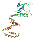 Ligand Dependent Nuclear Receptor Interacting Factor 1 (LRIF1) Ligand Dependent Nuclear Receptor Interacting Factor 1 (LRIF1)