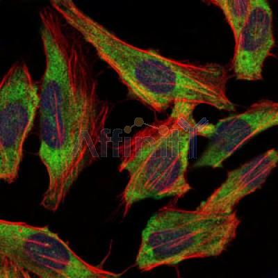 Валидация Affinity BF0117 - 5147