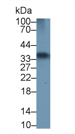 13479