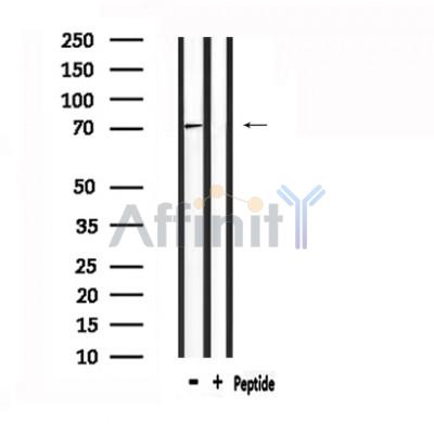 Валидация Affinity DF4927 - 16748