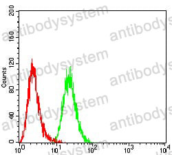 Валидация AntibodySystem RHK20402