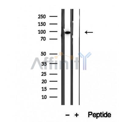 Валидация Affinity DF12376 - 6834