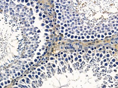 Валидация Affinity DF16114 - 12698