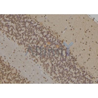 Валидация Affinity DF6800 - 18373