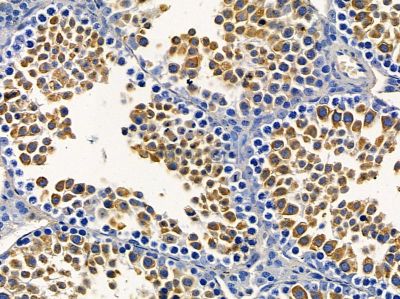 Валидация Affinity AF9164 - 4973