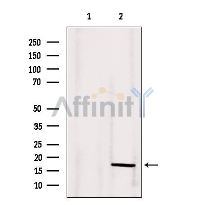 Валидация Affinity DF6449 - 17831