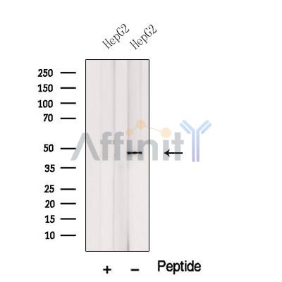 Валидация Affinity DF12538 - 7140