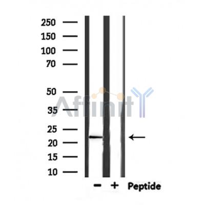 Валидация Affinity DF6594 - 18039