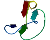 Fc Fragment Of IgG, Low Affinity Ib Receptor (FcgR1B) Fc Fragment Of IgG, Low Affinity Ib Receptor (FcgR1B)