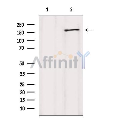 Валидация Affinity AF6489 - 3821