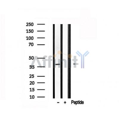 Валидация Affinity AF7537 - 4191