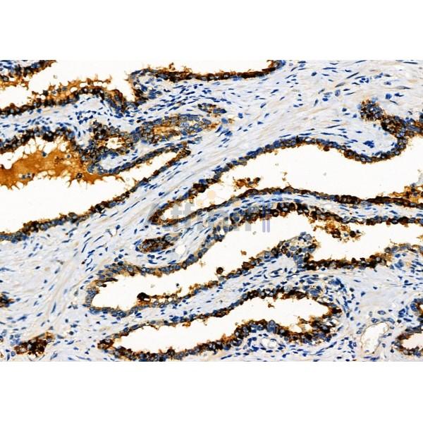 Валидация Affinity DF6185 - 17438