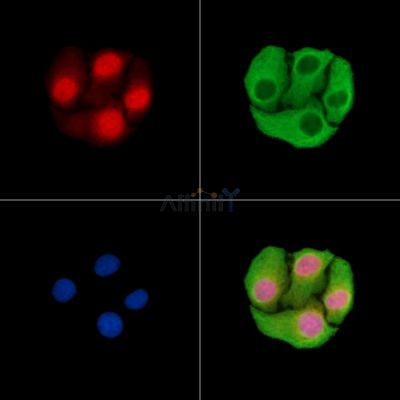 Валидация Affinity DF15285 - 11578