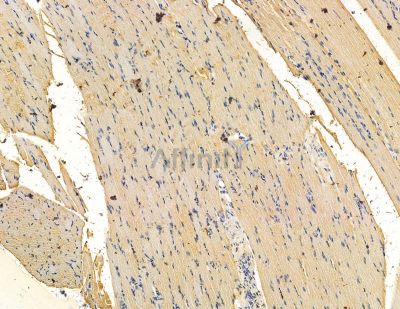 Валидация Affinity DF15001 - 11206