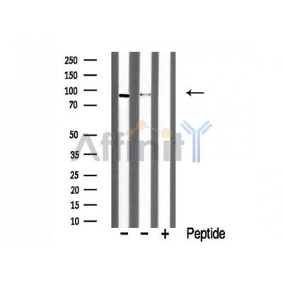 Валидация Affinity DF3270 - 14124