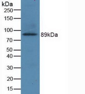 53014