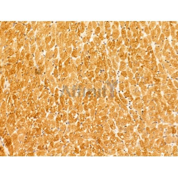 Валидация Affinity DF12185 - 6415