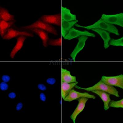 Валидация Affinity AF6027 - 3224