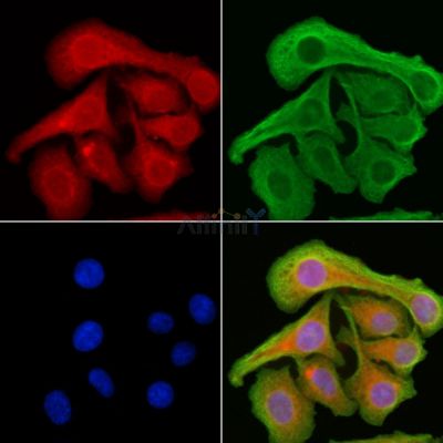 Валидация Affinity DF6604 - 18056