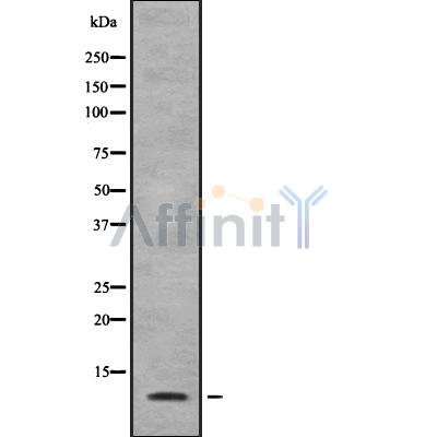 Валидация Affinity DF8807 - 20853