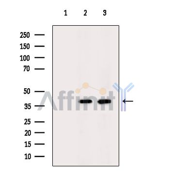 Валидация Affinity DF3897 - 15064