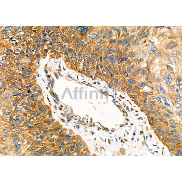 Валидация Affinity DF7710 - 19497