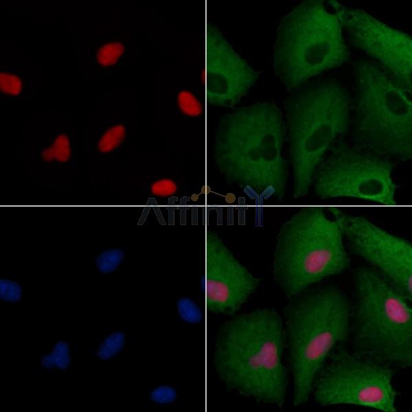 Валидация Affinity DF3077 - 13815