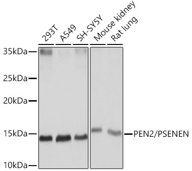 Валидация AssayVector ARM2232(3753)
