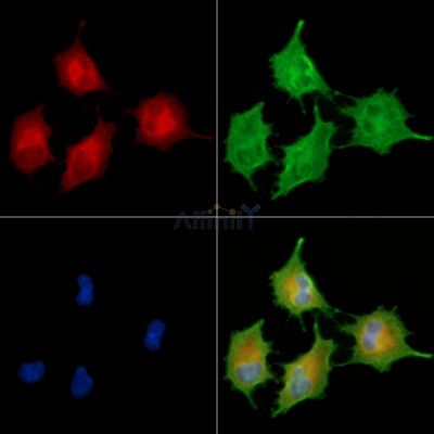 Валидация Affinity DF8927 - 21071